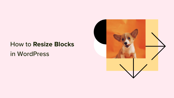 如何在WordPress中更改塊的高度和寬度