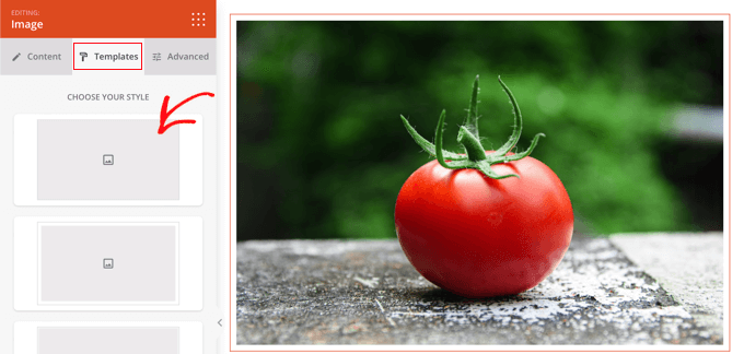 種子生產(chǎn)圖像樣式模板