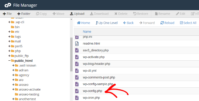 下載 wp 配置文件