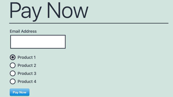 訪問您的網站，查看實際操作的付款表單