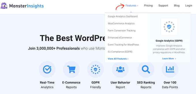 MonsterInsights 網站