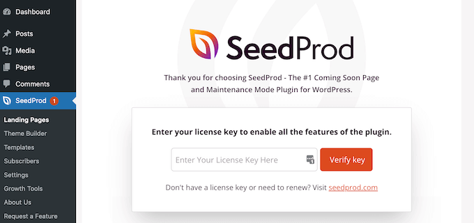 添加 SeedProd 許可證密鑰