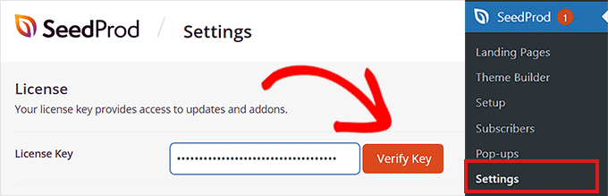 粘貼許可證密鑰