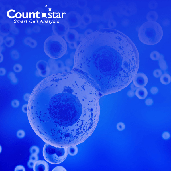 六藝wordpress網站案例